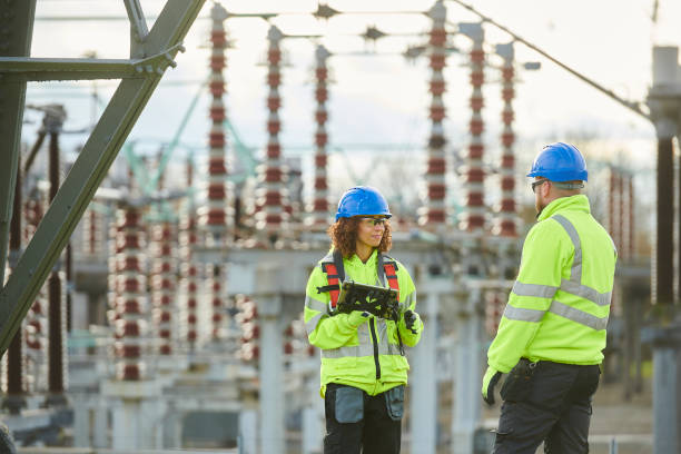Best Electrical System Inspection  in Crane, MO