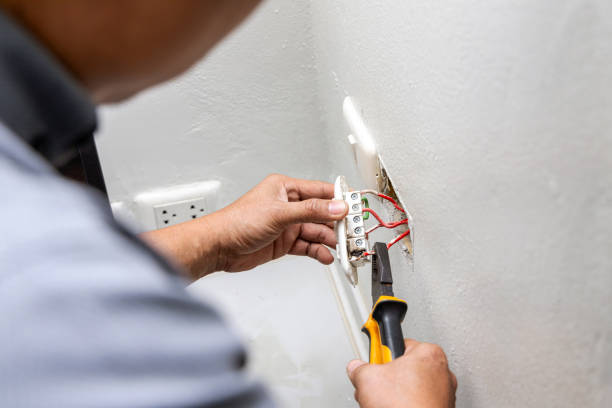 Best 24-Hour Electrician  in Crane, MO